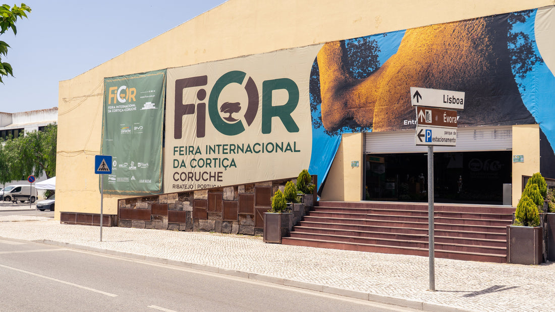 Discovering the Heart of Cork: My Visit to FICOR 2025 in Coruche