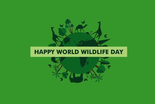 Happy World Wildlife Day!