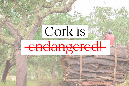 The Cork Oak Tree is NOT Endangered
