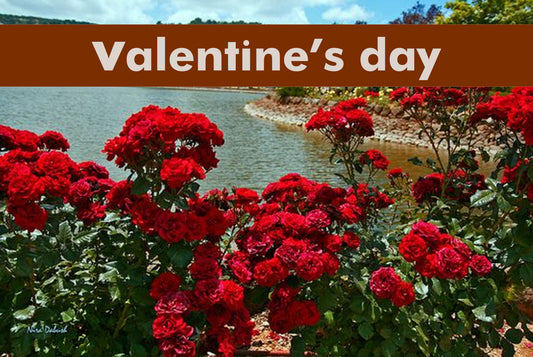 Valentine’s Day <3