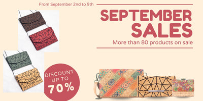 Flash Sales