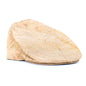 Cork Flat Cap L-1150
