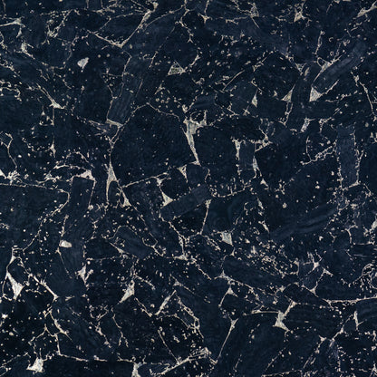 Black Cork Fabric with Gold Flecks COF-694