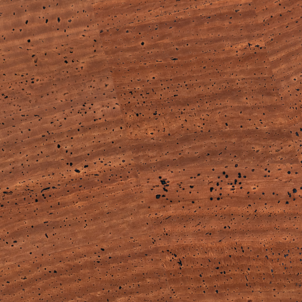 Dark Brown Natural Cork Fabric – 2026NEW GENERATION BACKING COF-819