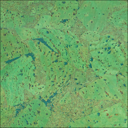 Grass Green Natural Cork Fabric Cof-467 Cork Fabric