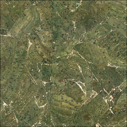 Green And Gold Verdant Terrain Cork Fabric Cof-494 Cork Fabric