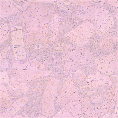 Pink Cork Fabric In Block Style With Beige Backing 0.74 Thickness Cof - 532 - A Cork Fabric