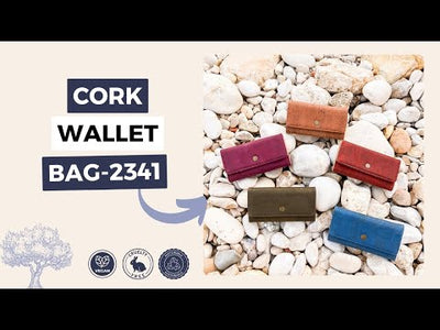Fashion Cork backpack BAGP-088