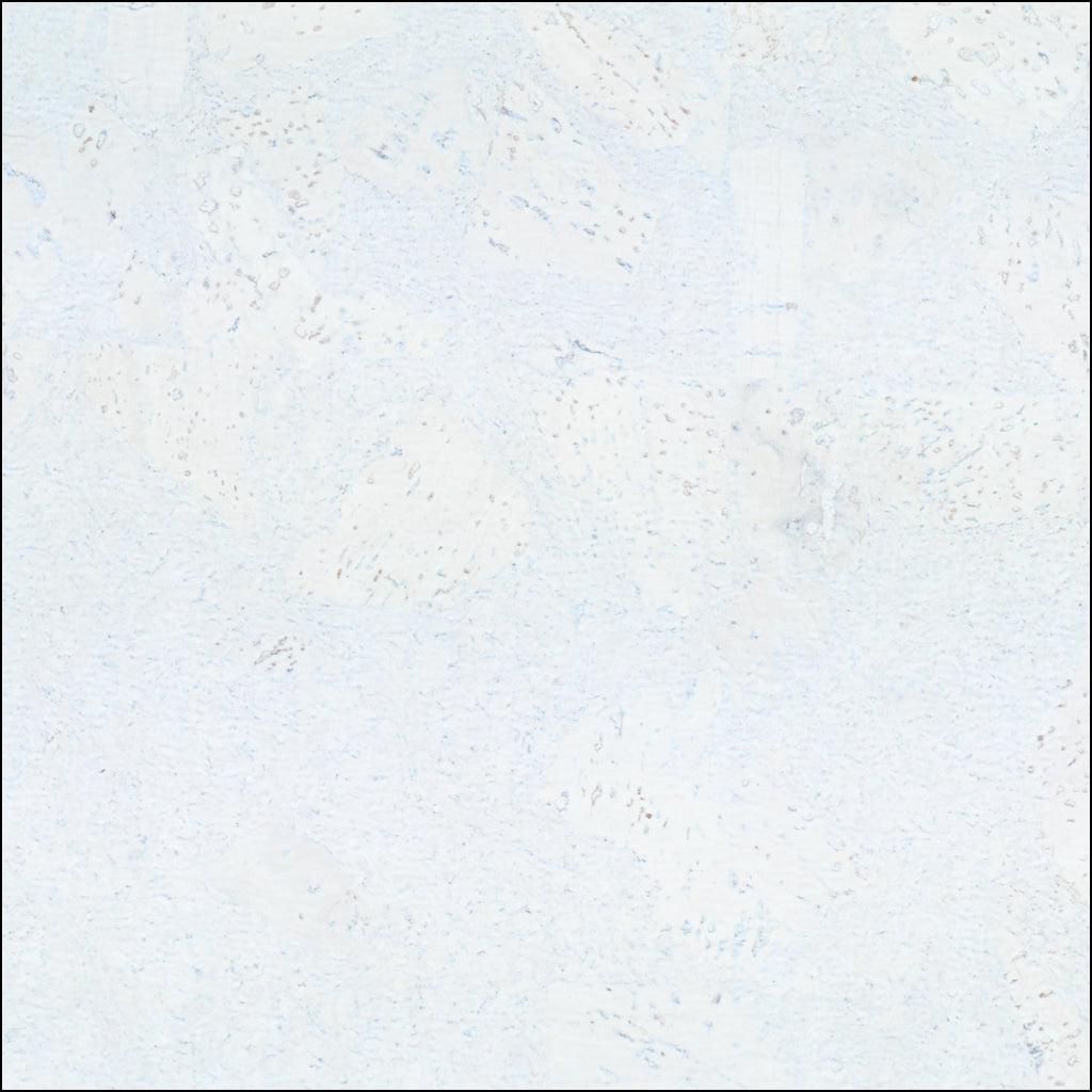 White Cork Fabric In Block Style With Beige Backing 0.68Mm Thickness Cof - 533 - C Cork Fabric